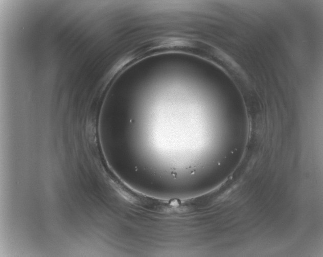 X0000067871321200604131226