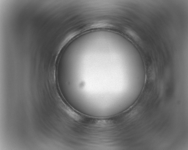 X0000067871322200604131226