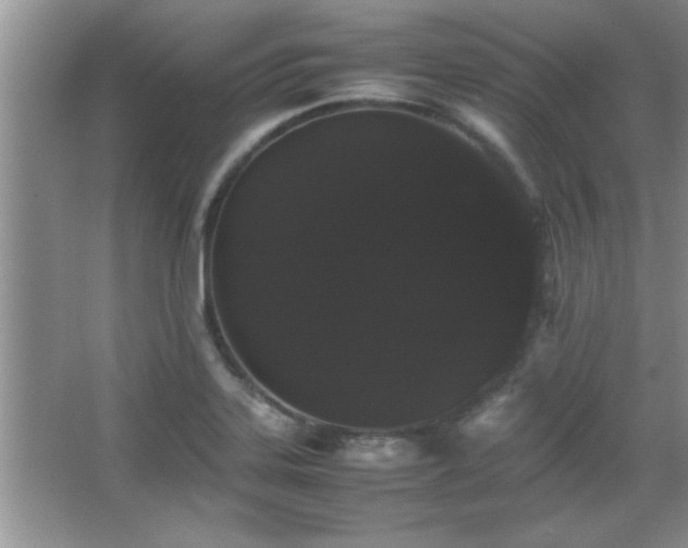 X0000067871323200604131226