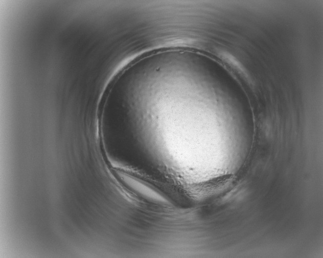 X0000067871324200604131226