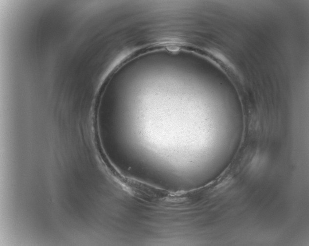 X0000067871325200604131226