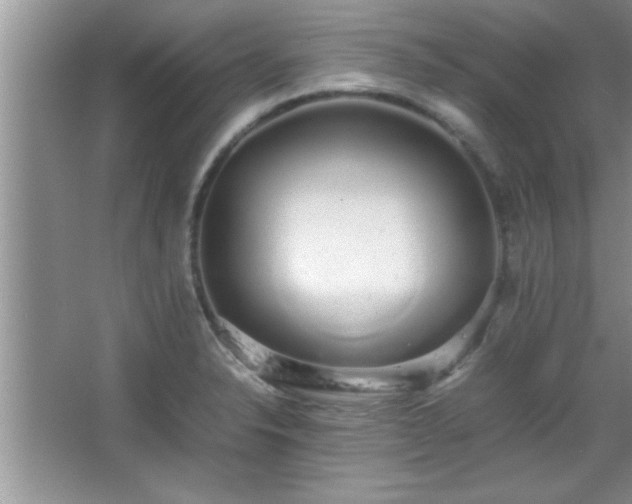 X0000067871326200604131226