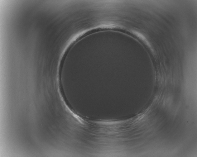 X0000067871327200604131226