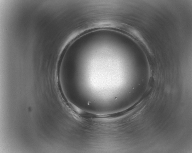 X0000067871328200604131226