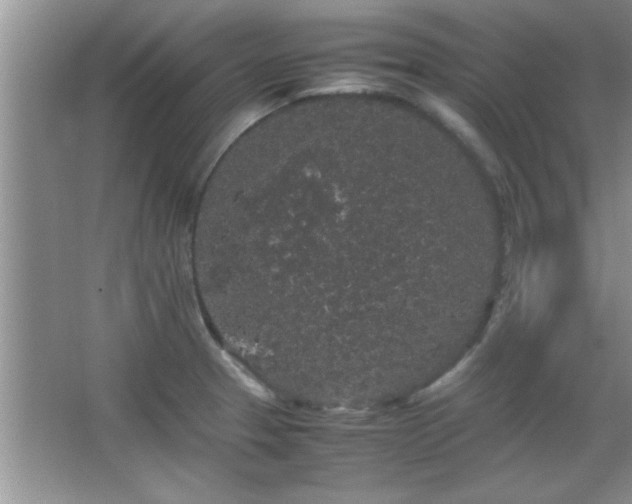 X0000067871329200604131226