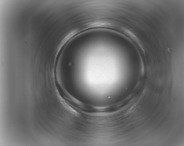 X0000067871330200604131226