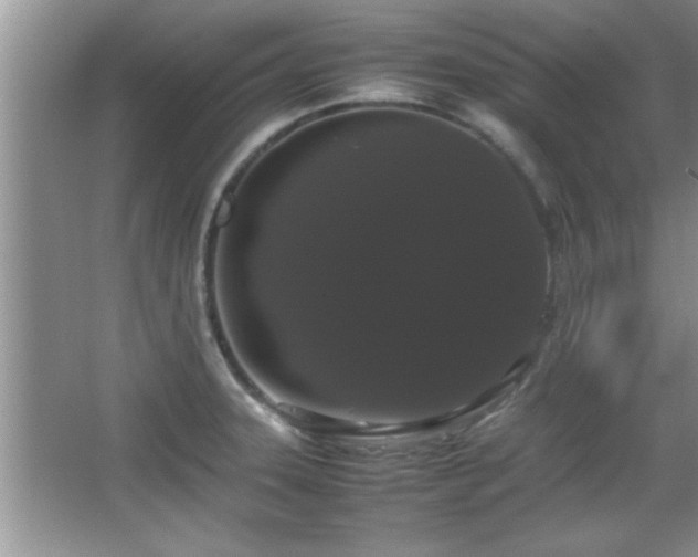 X0000067871331200604131226