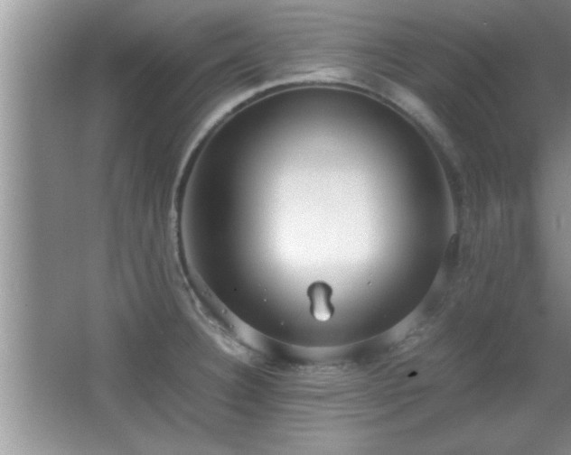 X0000067871332200604131226