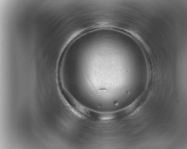 X0000067871333200604131226