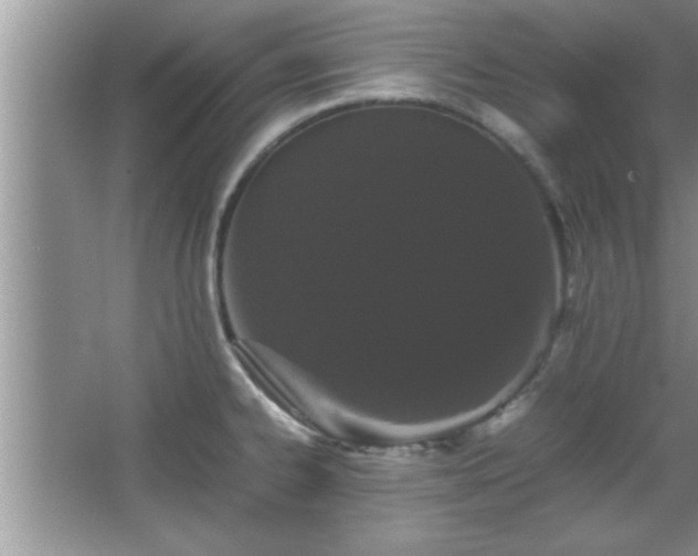 X0000067871334200604131226