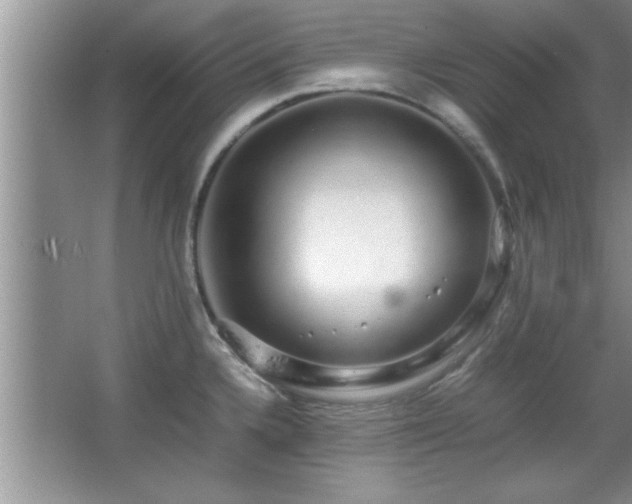 X0000067871336200604131226