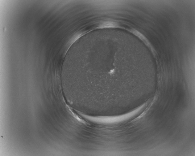 X0000067871337200604131226