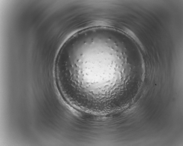 X0000067871339200604131226