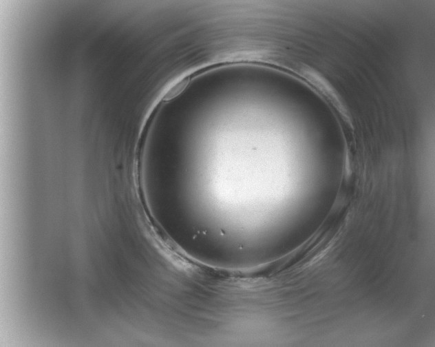 X0000067871340200604131226