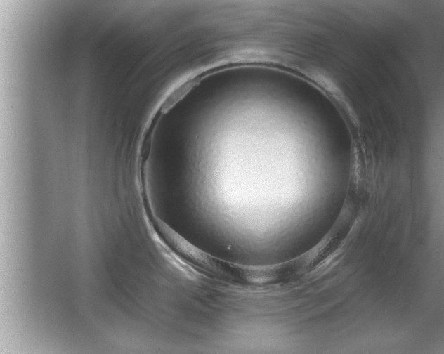 X0000067871342200604131226