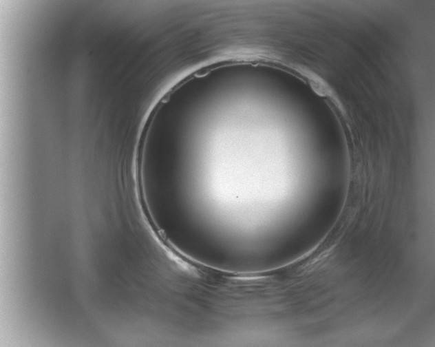 X0000067871343200604131226