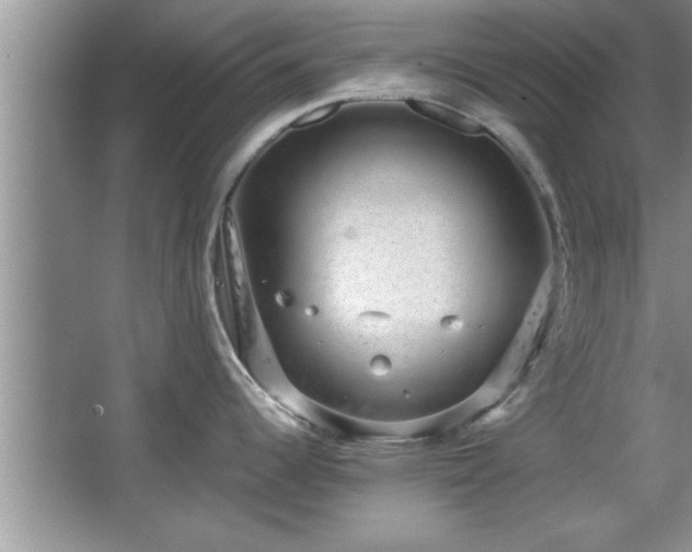 X0000067871344200604131226