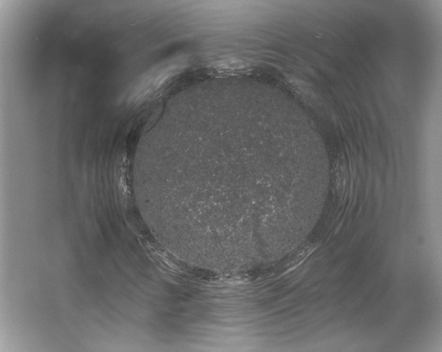 X0000067871346200604131225