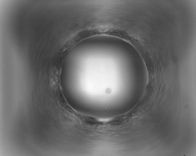 X0000067871349200604131225