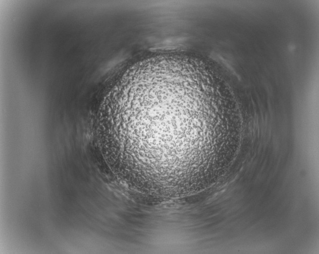 X0000067871350200604131225