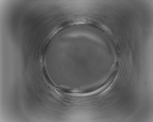 X0000067871353200604131225