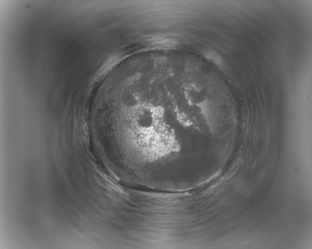 X0000067871354200604131225