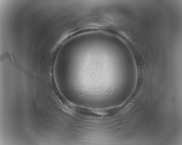 X0000067871355200604131225