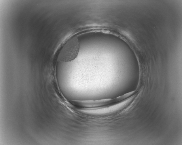 X0000067871357200604131225