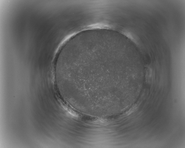 X0000067871358200604131225