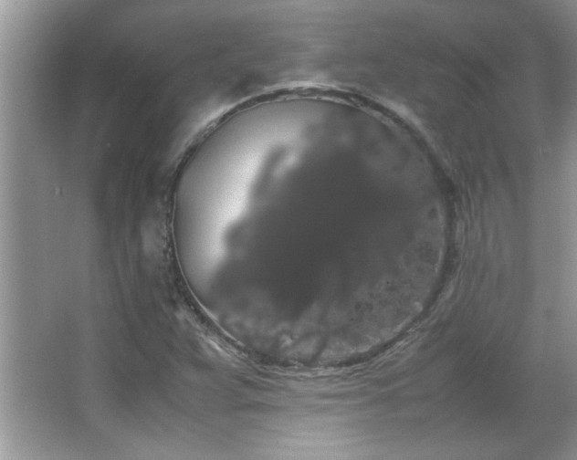 X0000067871359200604131225