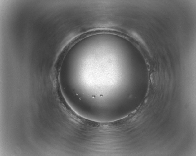 X0000067871360200604131225