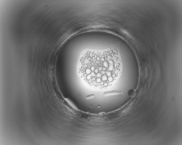 X0000067871361200604131225