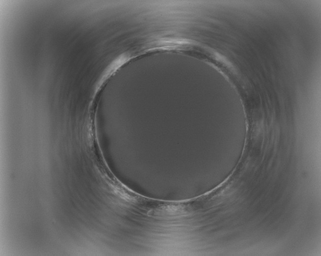 X0000067871362200604131225