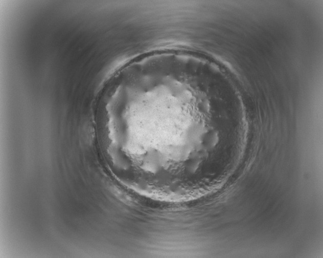 X0000067871363200604131225