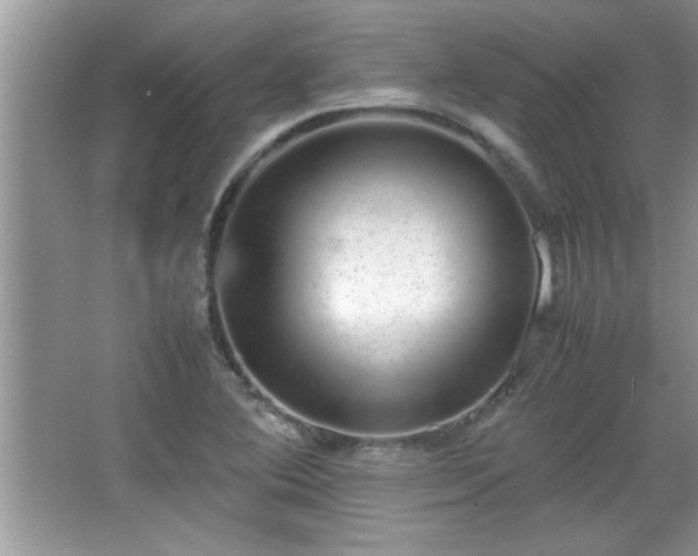 X0000067871364200604131225