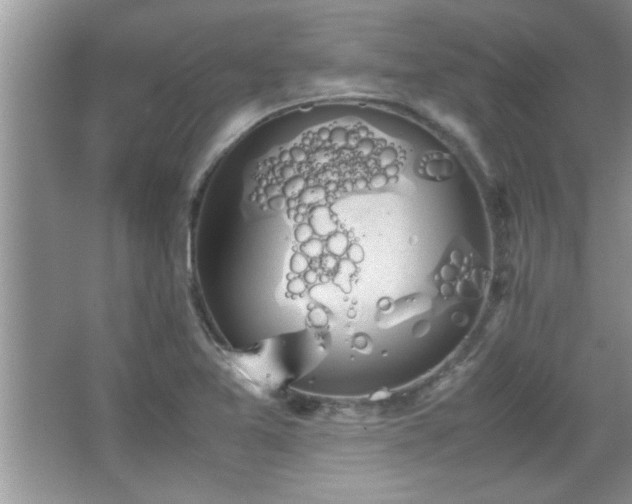 X0000067871365200604131225