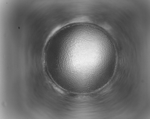 X0000067871366200604131225