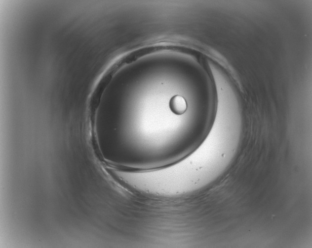 X0000067871368200604131225