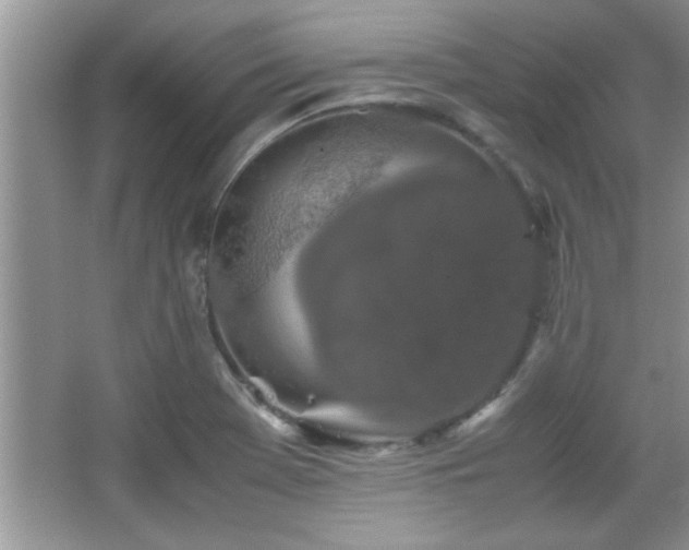 X0000067871369200604131225