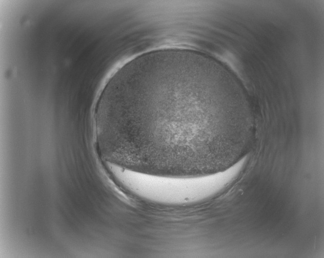 X0000067871371200604131225