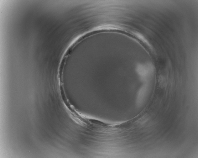 X0000067871372200604131225