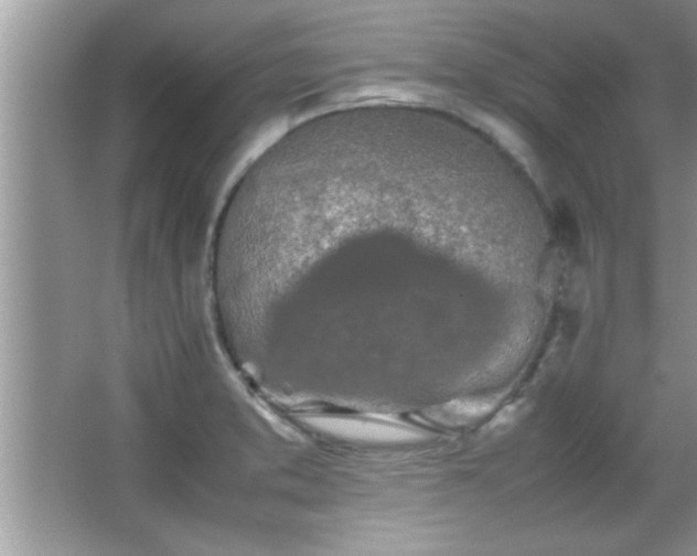 X0000067871373200604131225