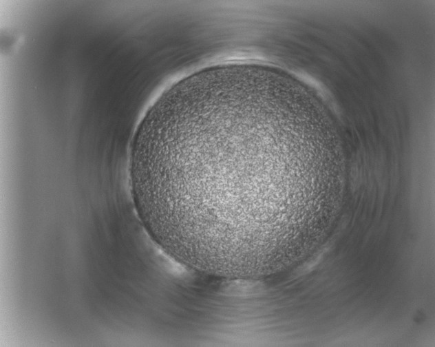 X0000067871374200604131225