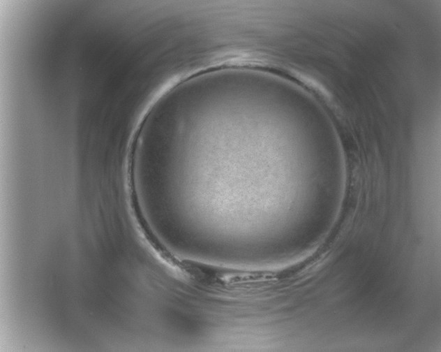 X0000067871375200604131225