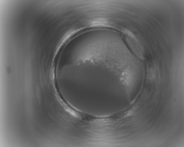 X0000067871376200604131225