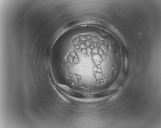 X0000067871377200604131225