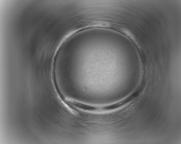 X0000067871379200604131225