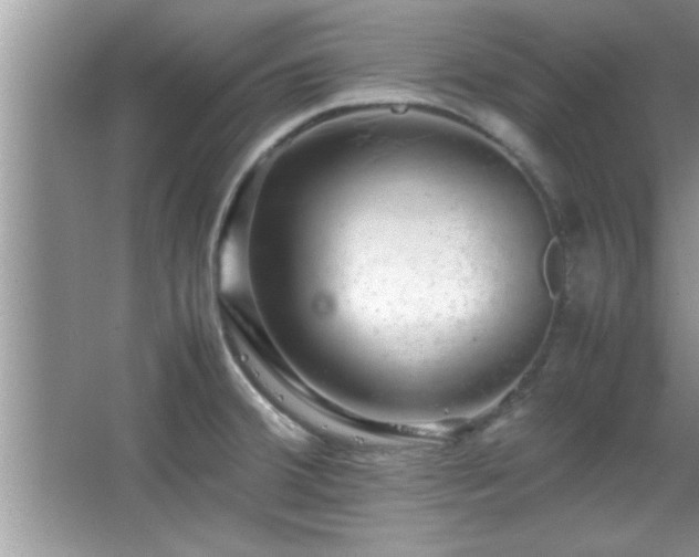 X0000067871380200604131225