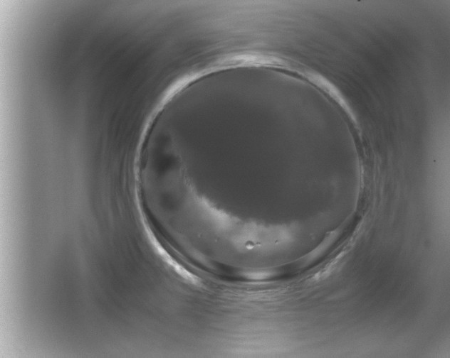 X0000067871381200604131225