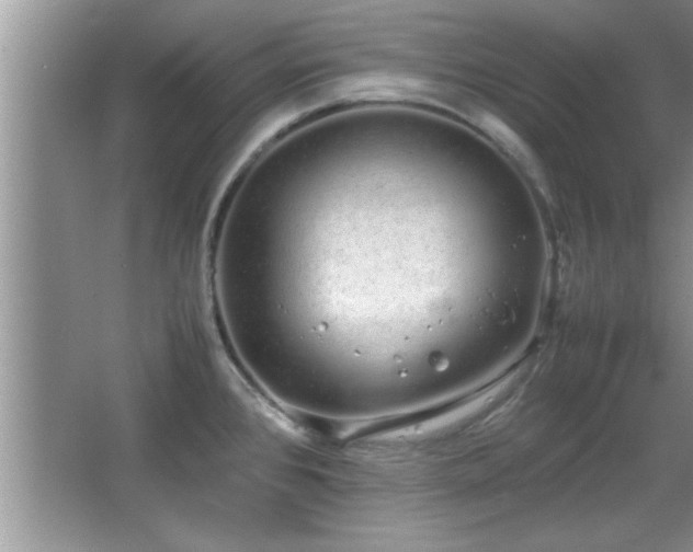 X0000067871384200604131225